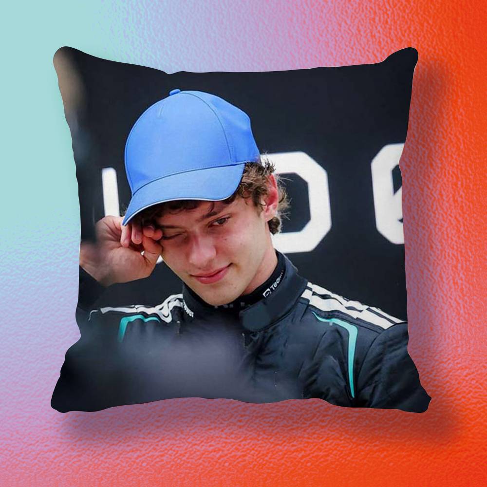 Capa de almofada Driver K-Kimi - Home Textiles Definition avaliação e preço